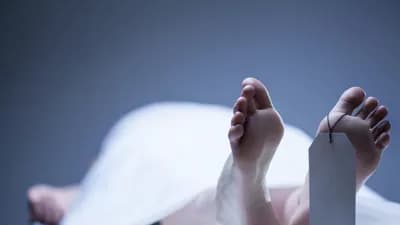 Qəbələdə faciə: Meşədə ağac altında qalan kişi həlak oldu