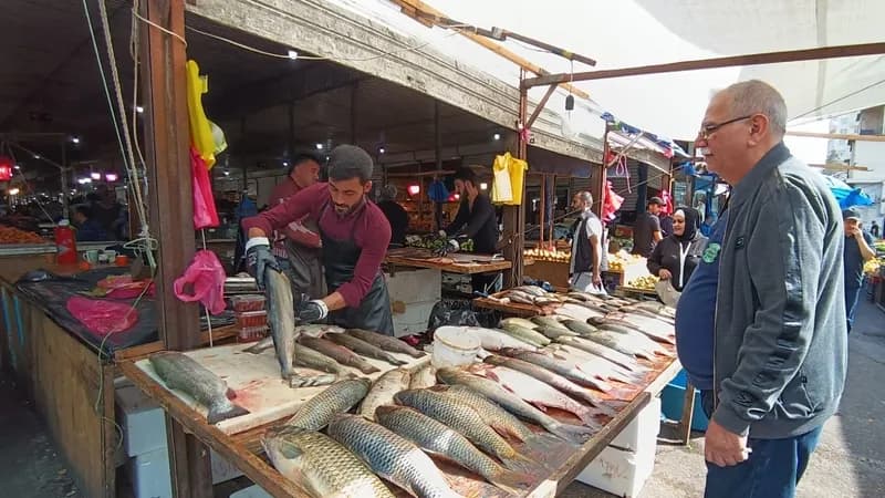Xəzərdə balıq ehtiyatları azalır: Bazarda qiymətlər qalxır