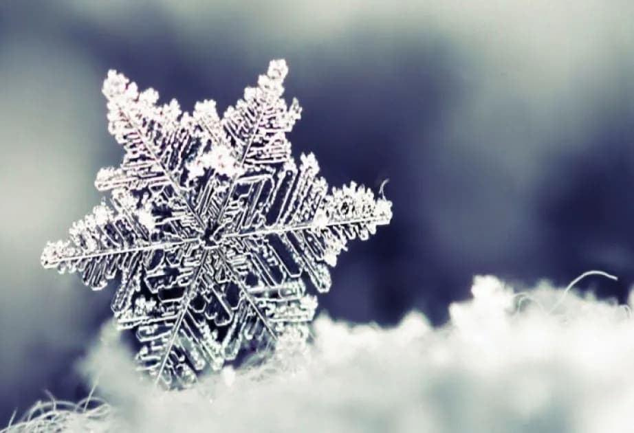 Şahbuzda qarın hündürlüyü 29 santimetrə çatıb - FAKTİKİ HAVA